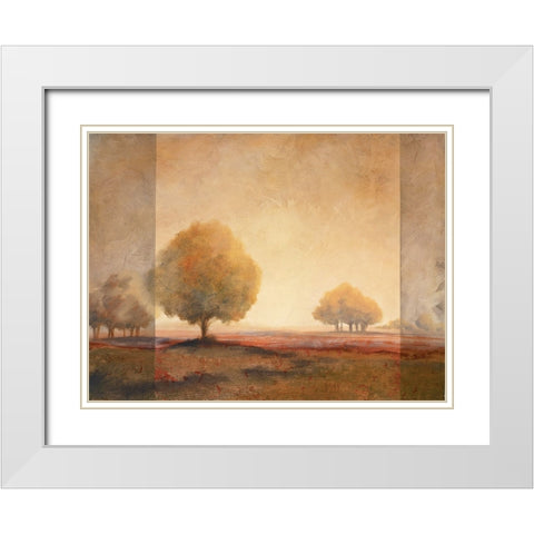 Golden Trees II White Modern Wood Framed Art Print with Double Matting by Unknown
