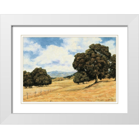 Golden Pasture White Modern Wood Framed Art Print with Double Matting by Unknown