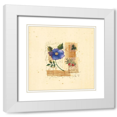 Parisian Pansy I White Modern Wood Framed Art Print with Double Matting by Unknown