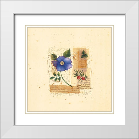 Parisian Pansy I White Modern Wood Framed Art Print with Double Matting by Unknown