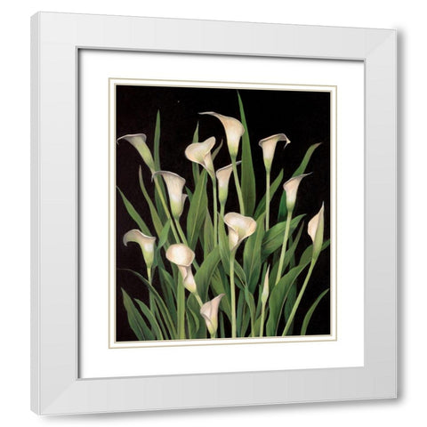 Lily I White Modern Wood Framed Art Print with Double Matting by Unknown
