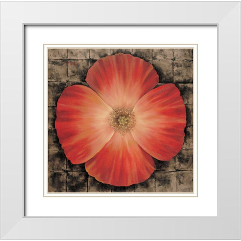 Red Poppy I White Modern Wood Framed Art Print with Double Matting by Unknown