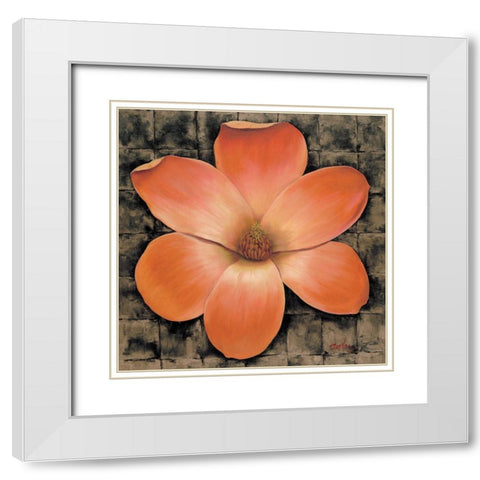 Red Poppy II White Modern Wood Framed Art Print with Double Matting by Unknown