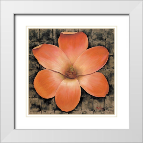 Red Poppy II White Modern Wood Framed Art Print with Double Matting by Unknown