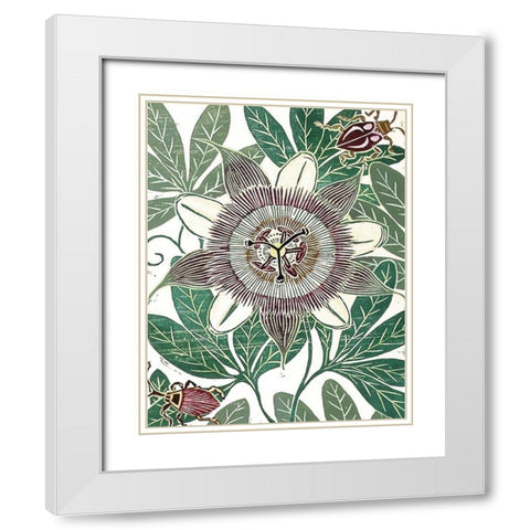 Poppy II White Modern Wood Framed Art Print with Double Matting by Unknown