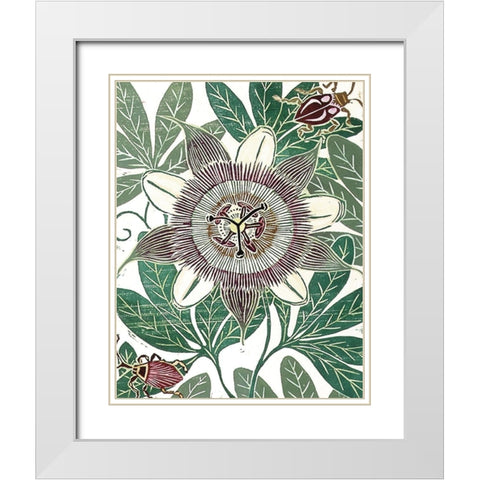 Poppy II White Modern Wood Framed Art Print with Double Matting by Unknown