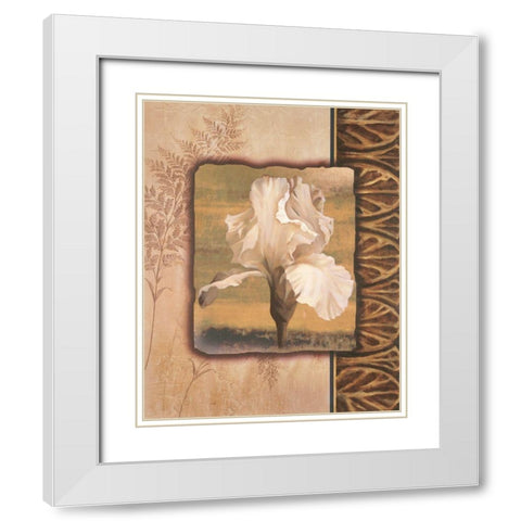 White Iris White Modern Wood Framed Art Print with Double Matting by Unknown