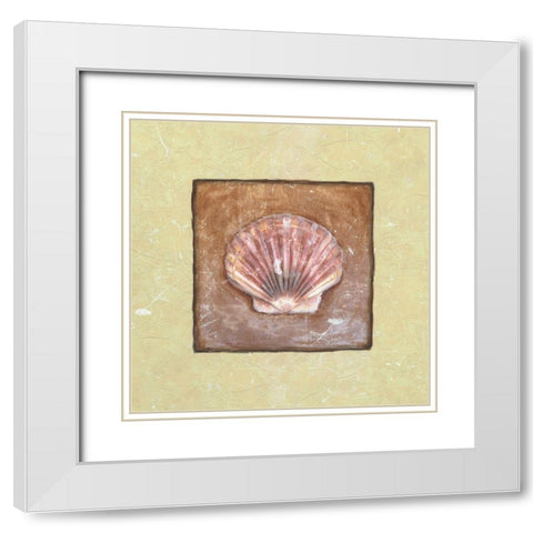 Sea Shell White Modern Wood Framed Art Print with Double Matting by Unknown