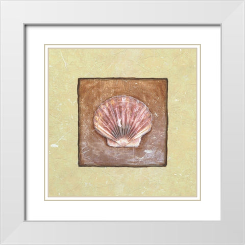 Sea Shell White Modern Wood Framed Art Print with Double Matting by Unknown