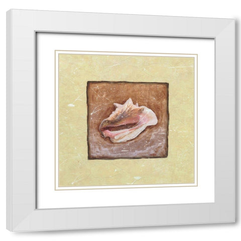 Conch Shell White Modern Wood Framed Art Print with Double Matting by Unknown