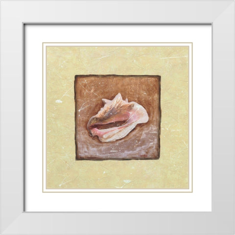 Conch Shell White Modern Wood Framed Art Print with Double Matting by Unknown