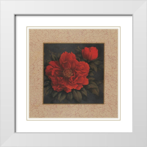 Red Carnation with Border I White Modern Wood Framed Art Print with Double Matting by Unknown