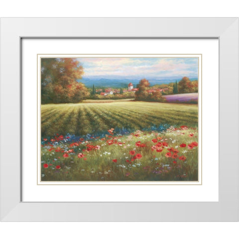 Fields of Provence I White Modern Wood Framed Art Print with Double Matting by Unknown