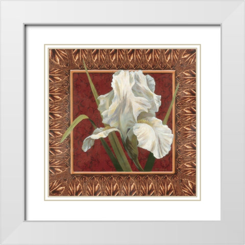 Iris in Red/Gold White Modern Wood Framed Art Print with Double Matting by Unknown