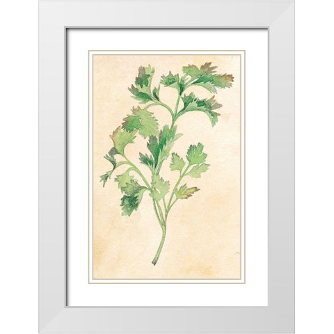 Parsley White Modern Wood Framed Art Print with Double Matting by Unknown