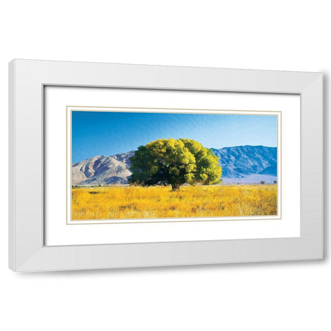 Tree on Mountain White Modern Wood Framed Art Print with Double Matting by Unknown