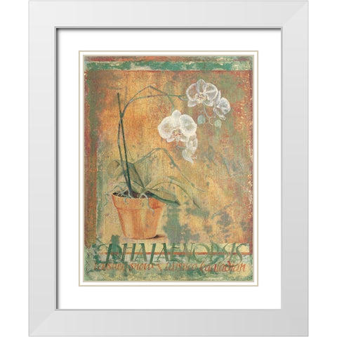 Potted White II White Modern Wood Framed Art Print with Double Matting by Unknown