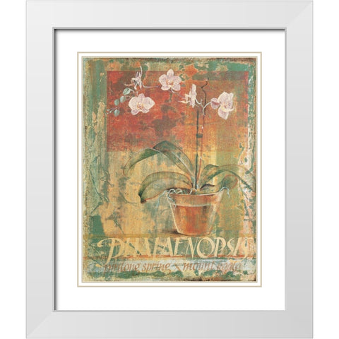 Potted White II White Modern Wood Framed Art Print with Double Matting by Unknown
