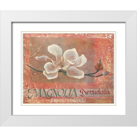White Magnolia White Modern Wood Framed Art Print with Double Matting by Unknown