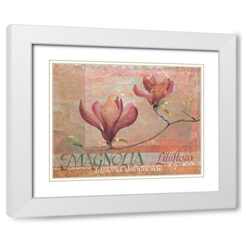 Red Magnolia White Modern Wood Framed Art Print with Double Matting by Unknown