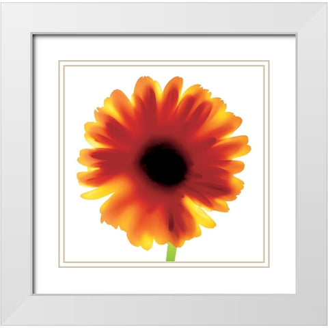 Floral I White Modern Wood Framed Art Print with Double Matting by Unknown