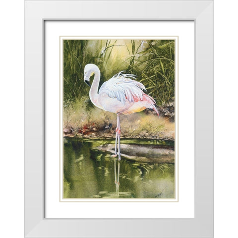 Flamingo White Modern Wood Framed Art Print with Double Matting by Unknown