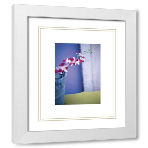 Orchids  White Modern Wood Framed Art Print with Double Matting by Frontline
