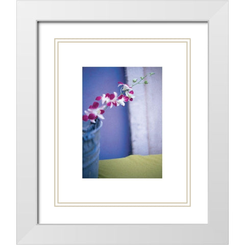 Orchids  White Modern Wood Framed Art Print with Double Matting by Frontline