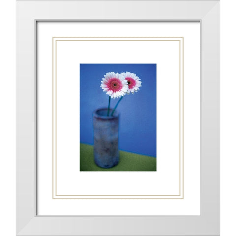 Pink Daisies White Modern Wood Framed Art Print with Double Matting by Frontline