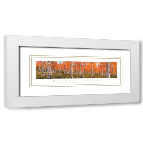 Autumn Trees White Modern Wood Framed Art Print with Double Matting by Unknown