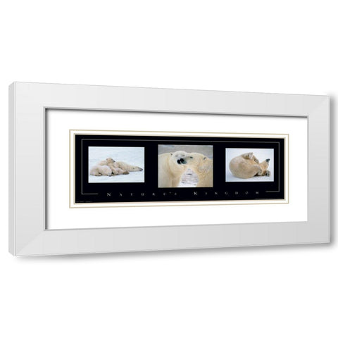 Polar Bears Tryp White Modern Wood Framed Art Print with Double Matting by Unknown