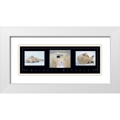 Polar Bears Tryp White Modern Wood Framed Art Print with Double Matting by Unknown