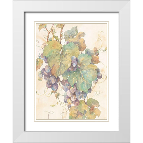 Hanging Grapes White Modern Wood Framed Art Print with Double Matting by Unknown