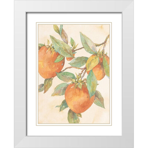 Hanging Peaches White Modern Wood Framed Art Print with Double Matting by Unknown