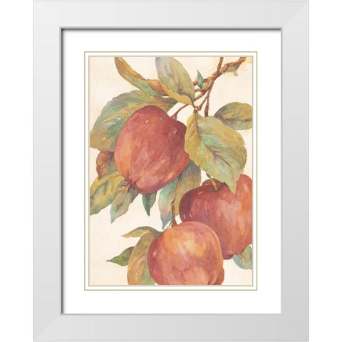 Hanging Apples White Modern Wood Framed Art Print with Double Matting by Unknown