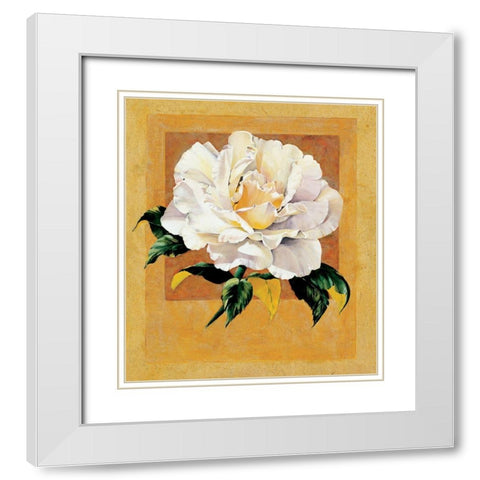 White Rose I White Modern Wood Framed Art Print with Double Matting by Unknown