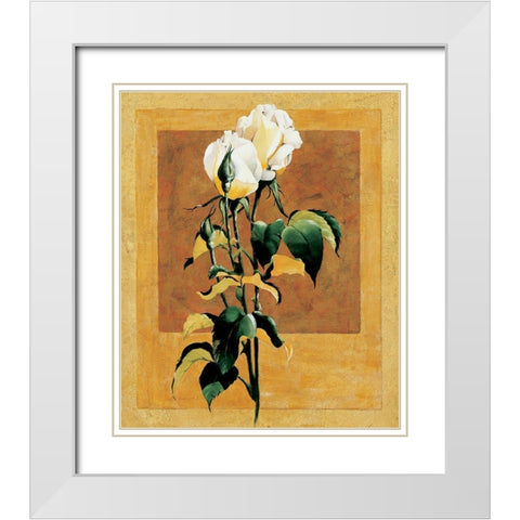 White Rose III White Modern Wood Framed Art Print with Double Matting by Unknown