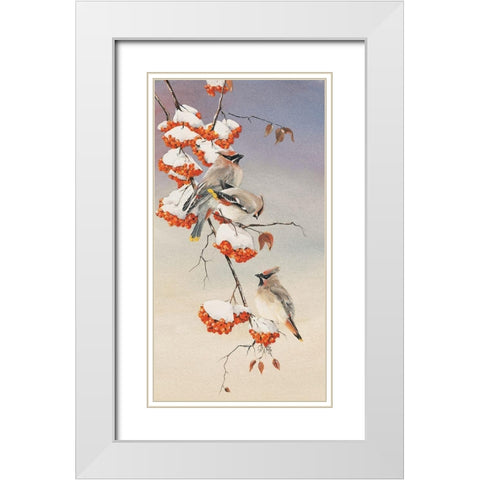 Finch on Perch White Modern Wood Framed Art Print with Double Matting by Unknown