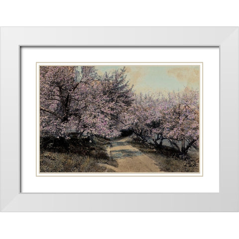Apple Blossoms I White Modern Wood Framed Art Print with Double Matting by Unknown