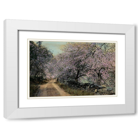 Apple Blossoms II White Modern Wood Framed Art Print with Double Matting by Unknown