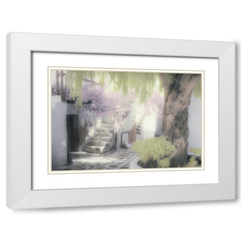 Stairs and Tree White Modern Wood Framed Art Print with Double Matting by Unknown