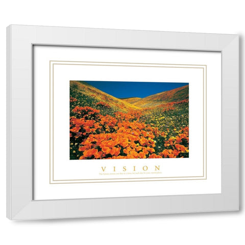 Vision - Edelweiss Flowers White Modern Wood Framed Art Print with Double Matting by Unknown