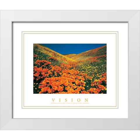 Vision - Edelweiss Flowers White Modern Wood Framed Art Print with Double Matting by Unknown