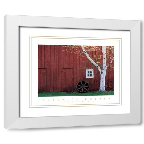 Red Barn and Aspen Tree White Modern Wood Framed Art Print with Double Matting by Unknown