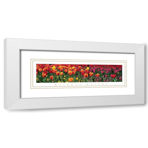 Tulips - Natures Colors White Modern Wood Framed Art Print with Double Matting by Unknown