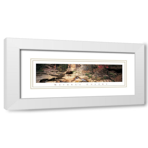 Rock Pond - Nature White Modern Wood Framed Art Print with Double Matting by Unknown