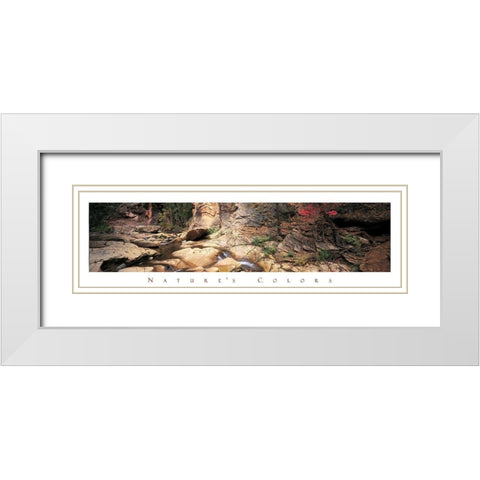 Rock Pond - Nature White Modern Wood Framed Art Print with Double Matting by Unknown