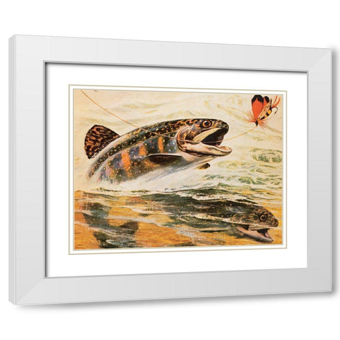 Trout and Fly White Modern Wood Framed Art Print with Double Matting by Unknown