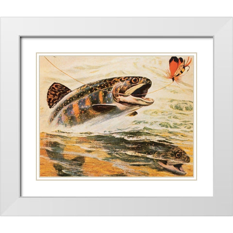 Trout and Fly White Modern Wood Framed Art Print with Double Matting by Unknown