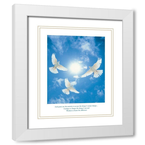 Dserenity - Doves White Modern Wood Framed Art Print with Double Matting by Frontline